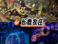 -长鹿旅游休博园