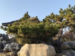 -蜀冈西峰生态公园