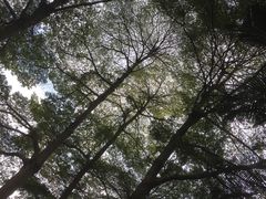 -晓港公园
