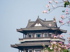 -海珠湖公园