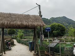 -龙坞茶村