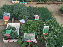 -沈阳市东陵公园