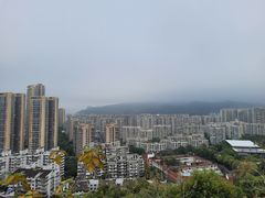 -福道