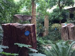 iphone_upload_pic-济南森林公园