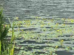 -日月潭