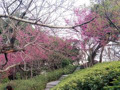 -乌山风景区