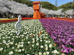 -苏州上方山国家森林公园