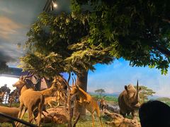 -国家自然博物馆