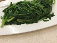 -楼兰印象(朝外店)