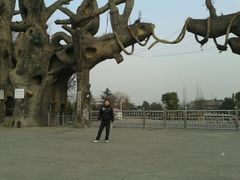 -禹州森林植物园