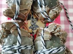 -乡乐园蟹庄·阳澄湖农家乐