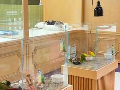 -帕帕拉兹宠物(亚洲旗舰店)