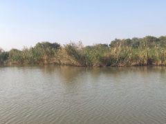 -长兴太湖图影湿地文化园