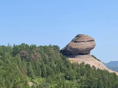 -磬锤峰森林公园