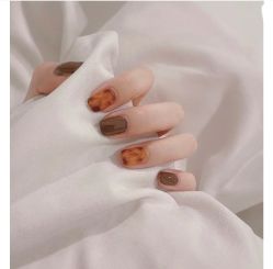 -柚子•猫美睫美甲