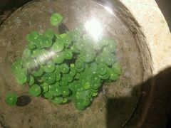 -黔蘑菇四季餐厅(观山湖店)