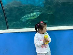 -苏州海洋馆