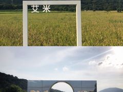 -艾米稻香小镇