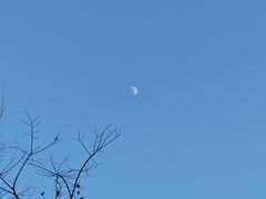 -明堂山风景区