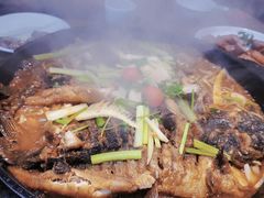 -老板恋上鱼(恒隆广场店)