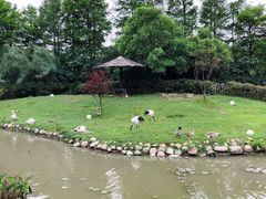 -上海野生动物园