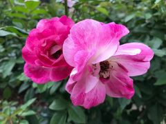 -人民公园(罗湖区)