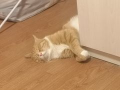 -美迦爱-牙专科·兔科·骨科诊疗中心(北苑店)