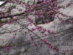 -新安江山水画廊风景区