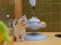 -帕帕拉兹宠物(亚洲旗舰店)