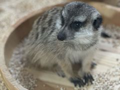-海合安武汉极地海洋公园