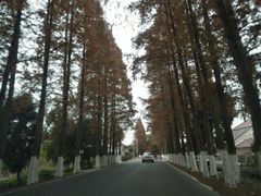 -瀛洲公园