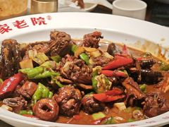 -单家老院·院子里的青岛菜(沙子口店)