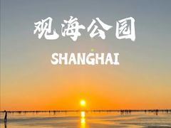 -南汇嘴观海公园