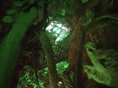 android_upload_pic-洛阳龙门海洋馆