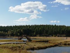 -塞罕坝国家级自然保护区