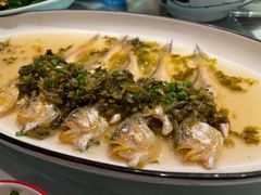 清蒸梅鱼-小厨师·二十年沈家门小海鲜(百井坊巷店)