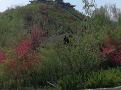 -渭南桃花源民俗文化园