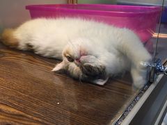 -乐宠宠物店(世纪金源店)