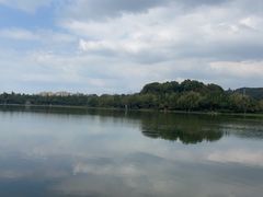 -洛龙公园