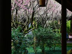 -成都杜甫草堂博物馆