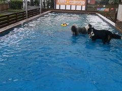 -太阳岛度假酒店