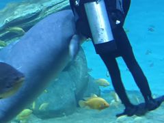 -珠海长隆海洋王国