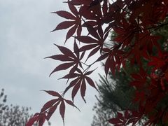 -北京邮电大学