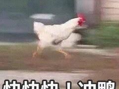 -大叔家福鼎小吃(十全街店)