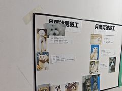 -科道动物医院·急重症中心(万达院)