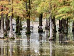 -白鹭湾湿地公园