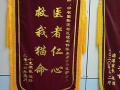 -中农国际动物医院24小时·猫科·骨科·急重症中心