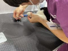 -宠颐生动物医院·小陆分院