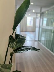 -爱尔乐美孕产瑜伽·普拉提