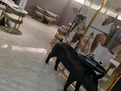 -古德菲力健身(特区报业店)